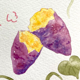 image_processing20250108-4886-897209